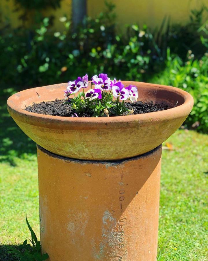 Agriturismo La Conte 루카 외부 사진